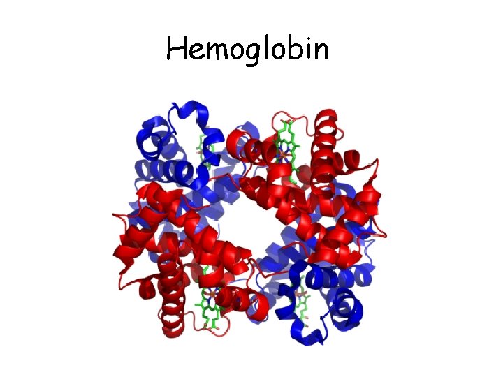 Hemoglobin 
