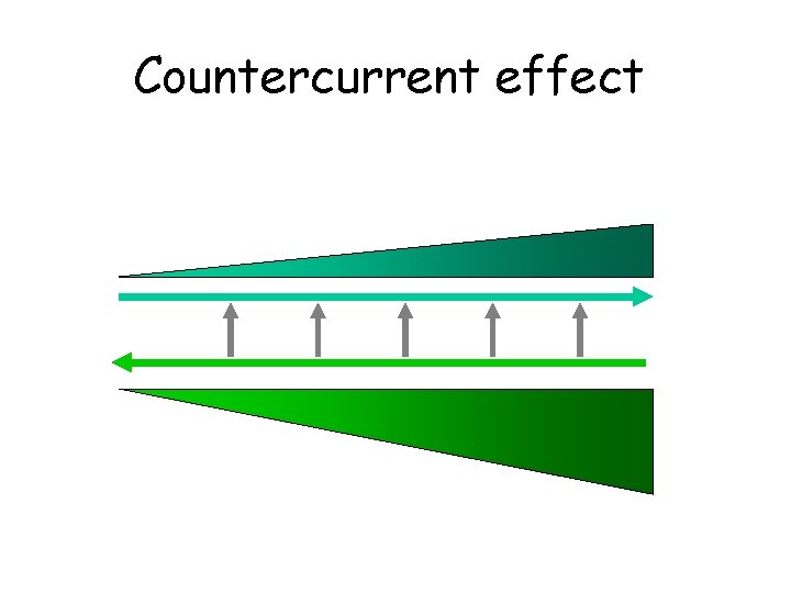 Countercurrent effect 