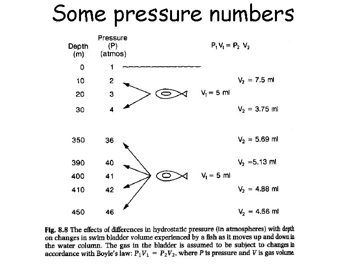 Some pressure numbers 