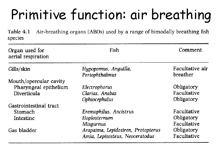 Primitive function: air breathing 