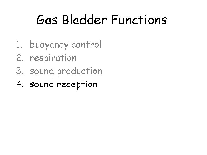 Gas Bladder Functions 1. 2. 3. 4. buoyancy control respiration sound production sound reception