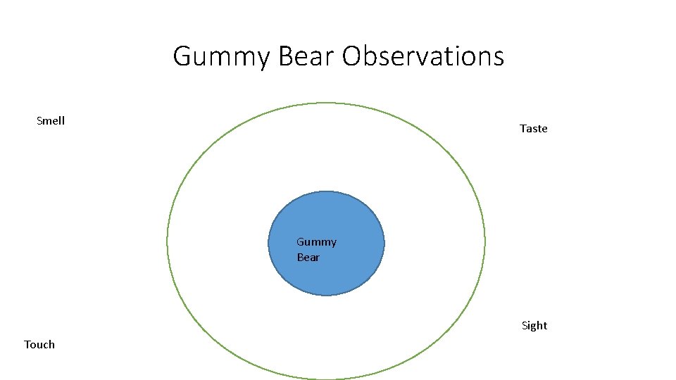 Gummy Bear Observations Smell Taste Gummy Bear Sight Touch 