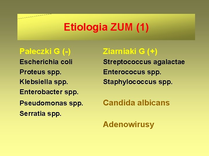 Etiologia ZUM (1) Pałeczki G (-) Ziarniaki G (+) Escherichia coli Proteus spp. Klebsiella