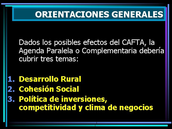 ORIENTACIONES GENERALES Dados los posibles efectos del CAFTA, la Agenda Paralela o Complementaria debería