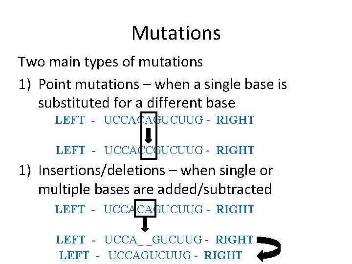 Mutations Two main types of mutations 1) Point mutations – when a single base