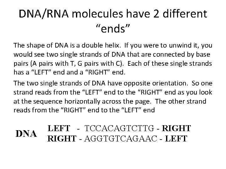 DNA/RNA molecules have 2 different “ends” The shape of DNA is a double helix.