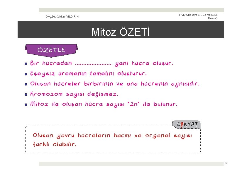 (Kaynak: Biyoloji, Campbell & Reece) Doç. Dr. Kubilay YILDIRIM Mitoz ÖZETİ 29 