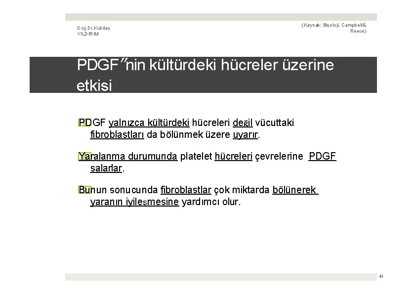 Doç. Dr. Kubilay YILDIRIM (Kaynak: Biyoloji, Campbell & Reece) PDGF’’nin kültürdeki hücreler üzerine etkisi