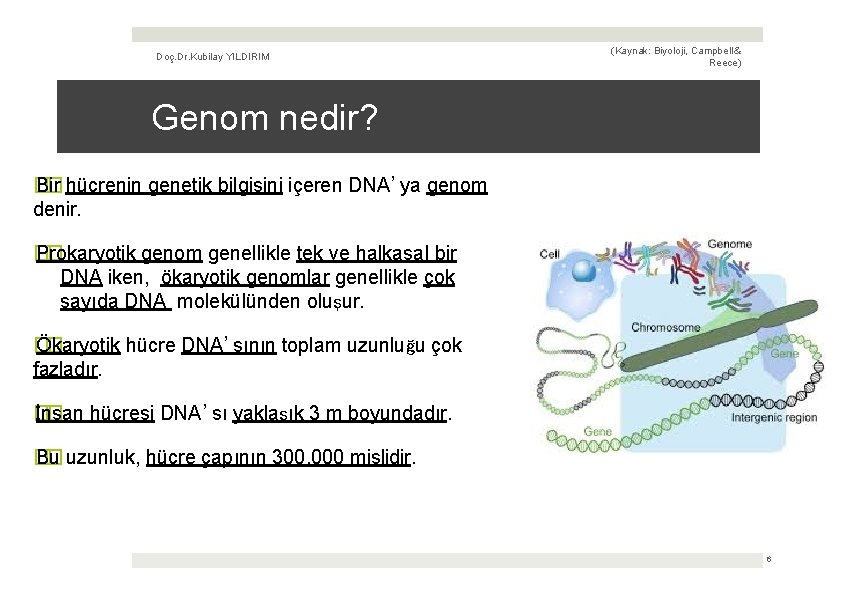 Doç. Dr. Kubilay YILDIRIM (Kaynak: Biyoloji, Campbell & Reece) Genom nedir? � Bir �