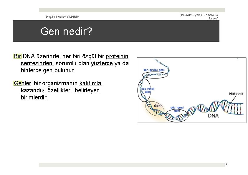 Doç. Dr. Kubilay YILDIRIM (Kaynak: Biyoloji, Campbell & Reece) Gen nedir? � Bir �