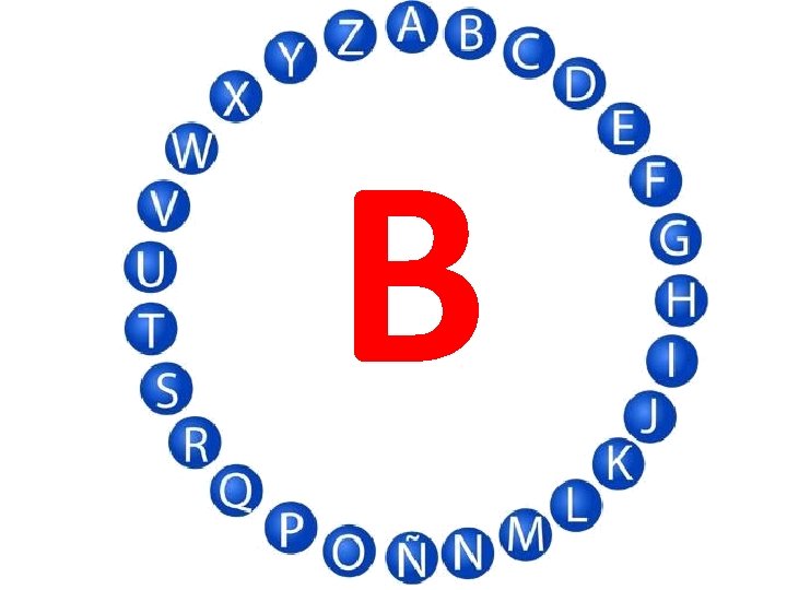 B 