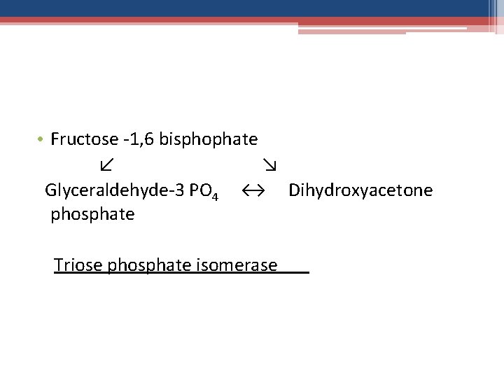  • Fructose -1, 6 bisphophate ↙ ↘ Glyceraldehyde-3 PO 4 ↔ Dihydroxyacetone phosphate
