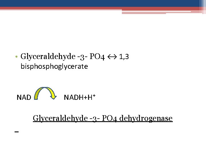  • Glyceraldehyde -3 - PO 4 ↔ 1, 3 bisphoglycerate NADH+H⁺ Glyceraldehyde -3