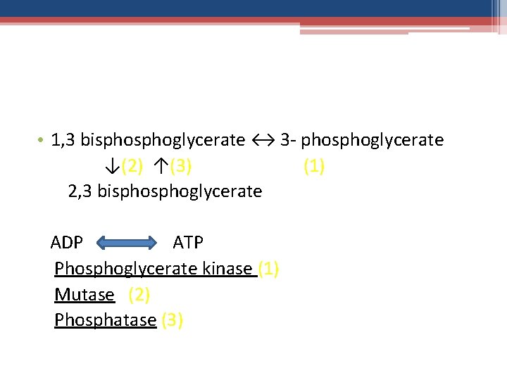  • 1, 3 bisphoglycerate ↔ 3 - phosphoglycerate ↓(2) ↑(3) (1) 2, 3