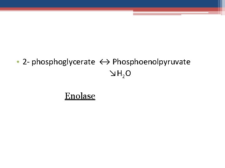  • 2 - phosphoglycerate ↔ Phosphoenolpyruvate ↘H 2 O Enolase 