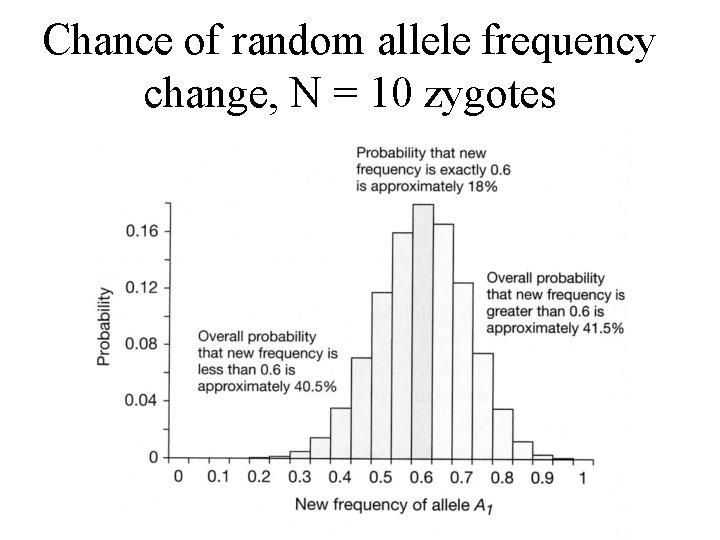 Chance of random allele frequency change, N = 10 zygotes 