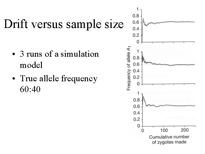 Drift versus sample size • 3 runs of a simulation model • True allele