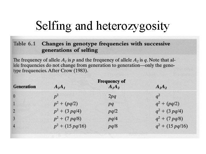 Selfing and heterozygosity 