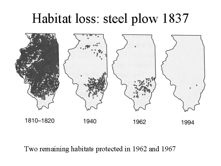 Habitat loss: steel plow 1837 Two remaining habitats protected in 1962 and 1967 