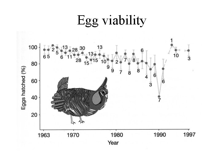 Egg viability 