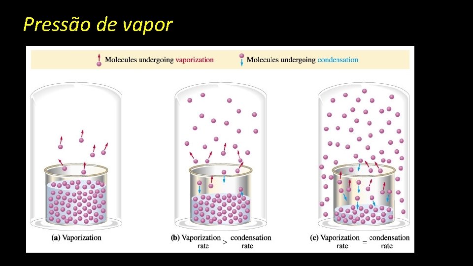 Pressão de vapor 