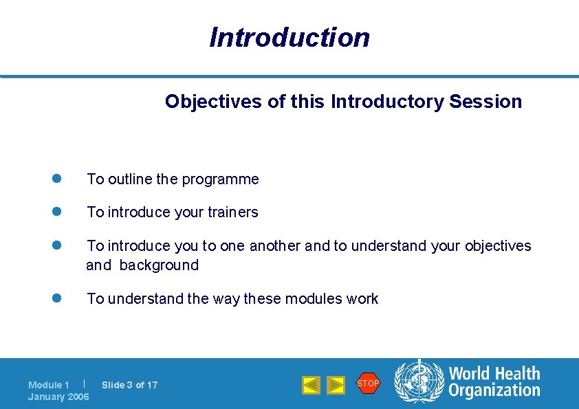 Introduction Objectives of this Introductory Session l To outline the programme l To introduce