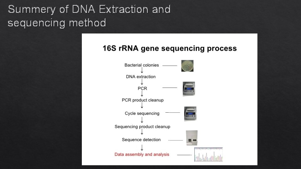 Summery of DNA Extraction and sequencing method 
