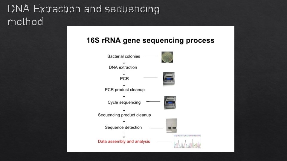 DNA Extraction and sequencing method 