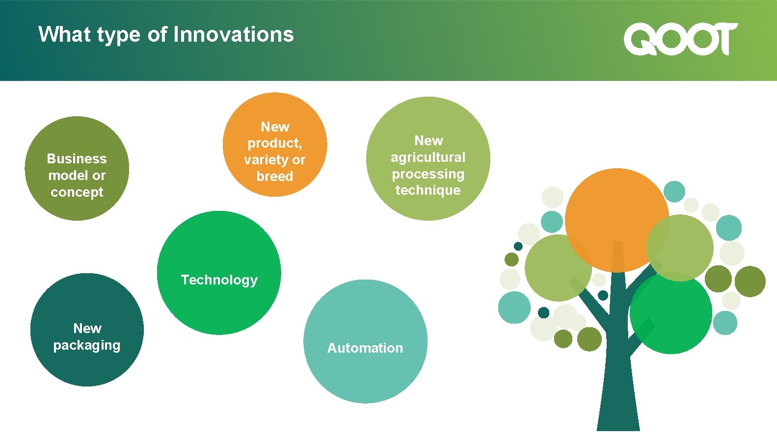 What type of Innovations Business model or concept New product, variety or breed New