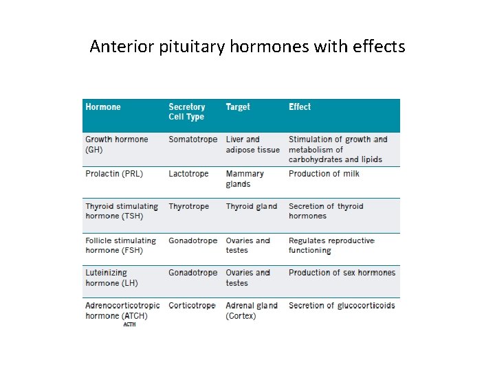 Anterior pituitary hormones with effects Anterior pituitary hormones with effects