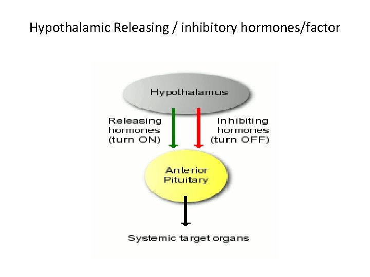 Hypothalamic Releasing / inhibitory hormones/factor Hypothalamic Releasing / inhibitory hormones/factor