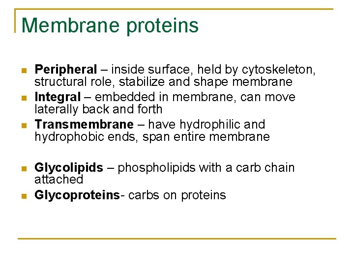 Membrane proteins n n n Peripheral – inside surface, held by cytoskeleton, structural role,