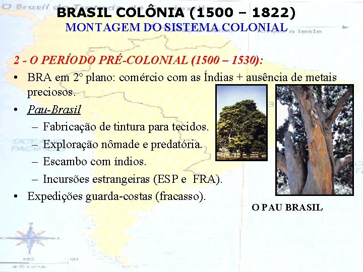 BRASIL COLÔNIA (1500 – 1822) MONTAGEM DO SISTEMA COLONIAL 2 - O PERÍODO PRÉ-COLONIAL