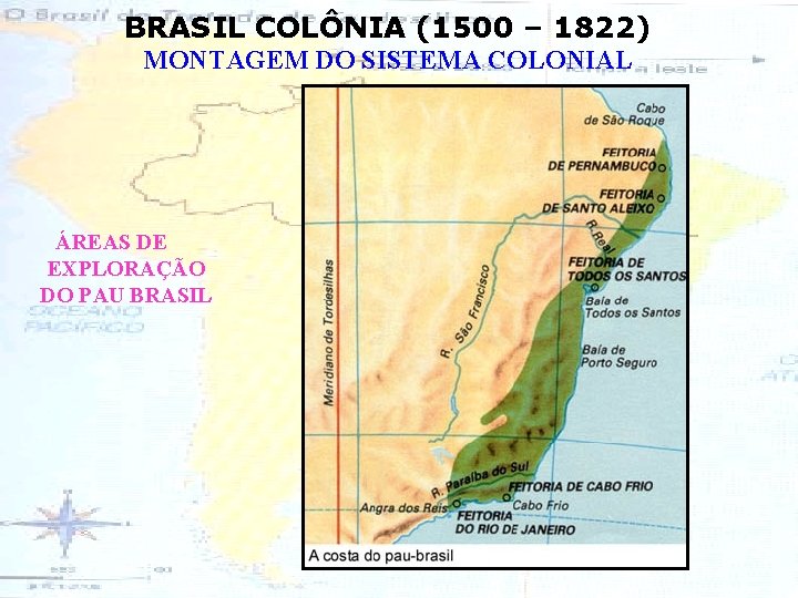 BRASIL COLÔNIA (1500 – 1822) MONTAGEM DO SISTEMA COLONIAL ÁREAS DE EXPLORAÇÃO DO PAU