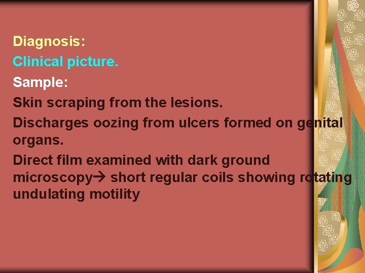Diagnosis: Clinical picture. Sample: Skin scraping from the lesions. Discharges oozing from ulcers formed