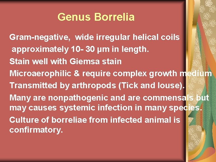 Genus Borrelia Gram-negative, wide irregular helical coils approximately 10 - 30 µm in length.