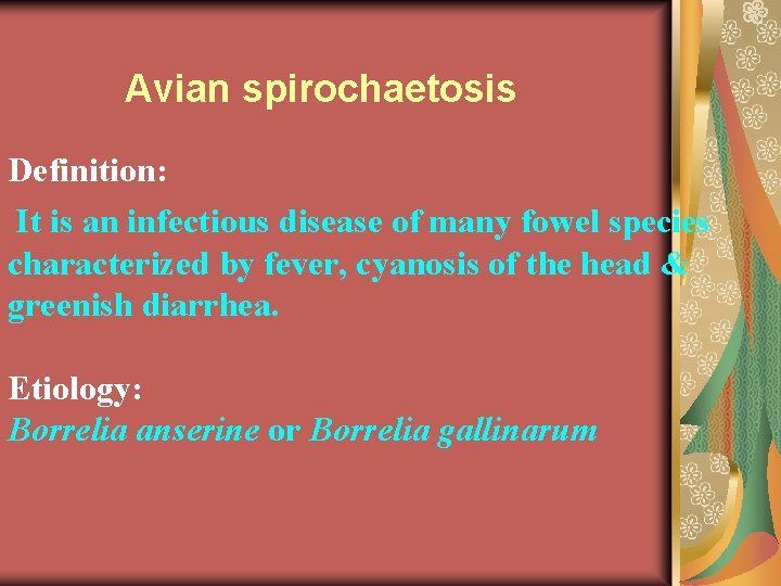 Avian spirochaetosis Definition: It is an infectious disease of many fowel species characterized by