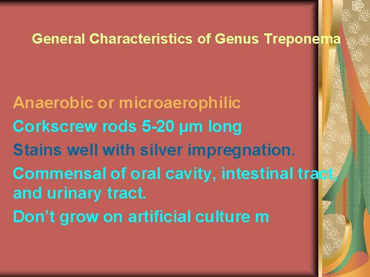 General Characteristics of Genus Treponema Anaerobic or microaerophilic Corkscrew rods 5 -20 µm long