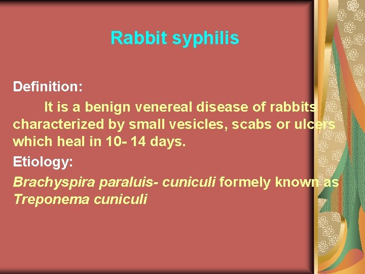 Rabbit syphilis Definition: It is a benign venereal disease of rabbits characterized by small