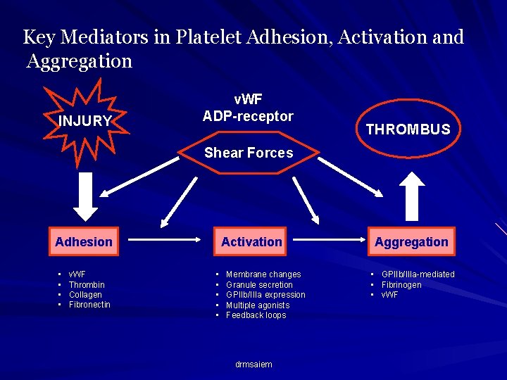 Key Mediators in Platelet Adhesion, Activation and Aggregation INJURY v. WF ADP-receptor THROMBUS Shear