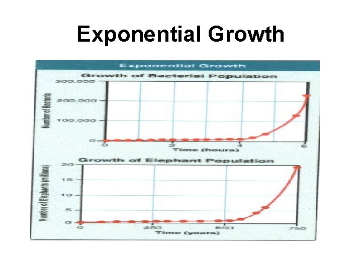 Exponential Growth 