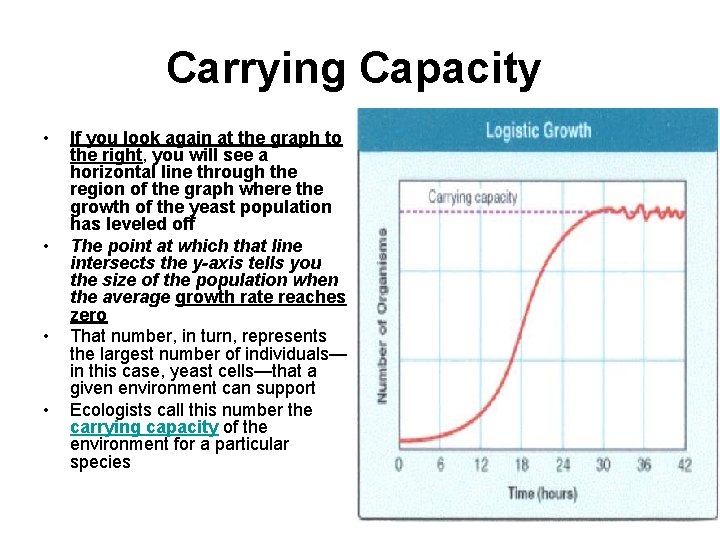 Carrying Capacity • • If you look again at the graph to the right,