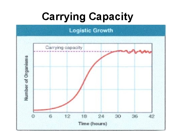 Carrying Capacity 