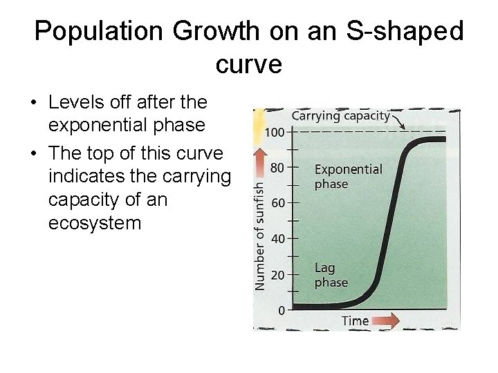 Population Growth on an S-shaped curve • Levels off after the exponential phase •