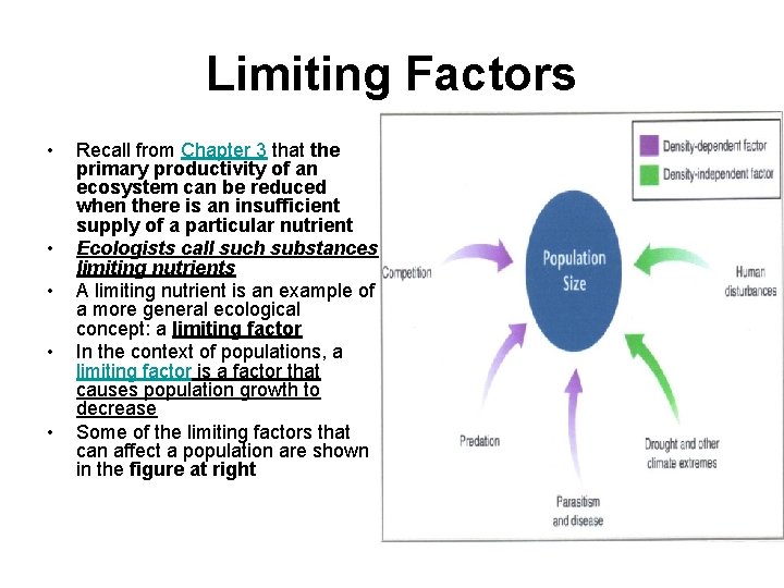 Limiting Factors • • • Recall from Chapter 3 that the primary productivity of
