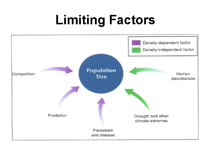 Limiting Factors 