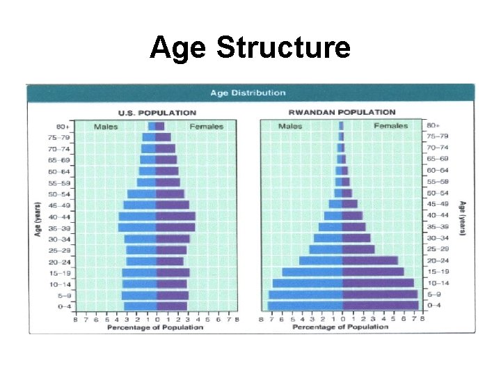 Age Structure 