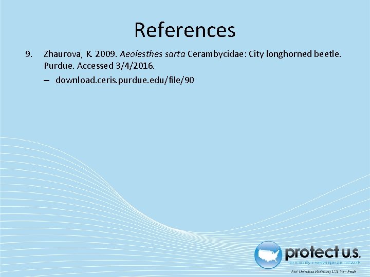 References 9. Zhaurova, K. 2009. Aeolesthes sarta Cerambycidae: City longhorned beetle. Purdue. Accessed 3/4/2016.