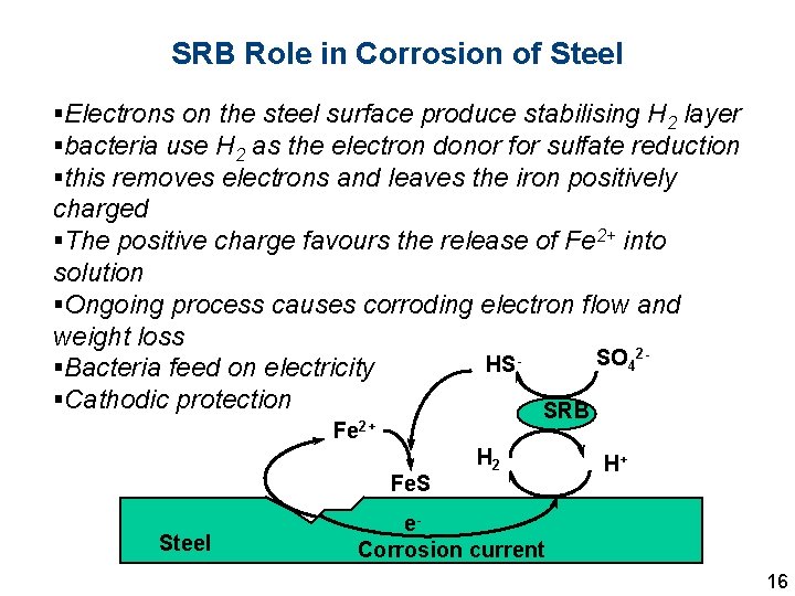 SRB Role in Corrosion of Steel §Electrons on the steel surface produce stabilising H