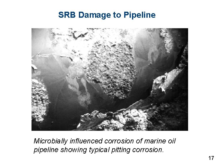 SRB Damage to Pipeline Microbially influenced corrosion of marine oil pipeline showing typical pitting